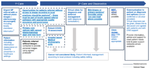 Suspected skin cancer diagnostics flow chart