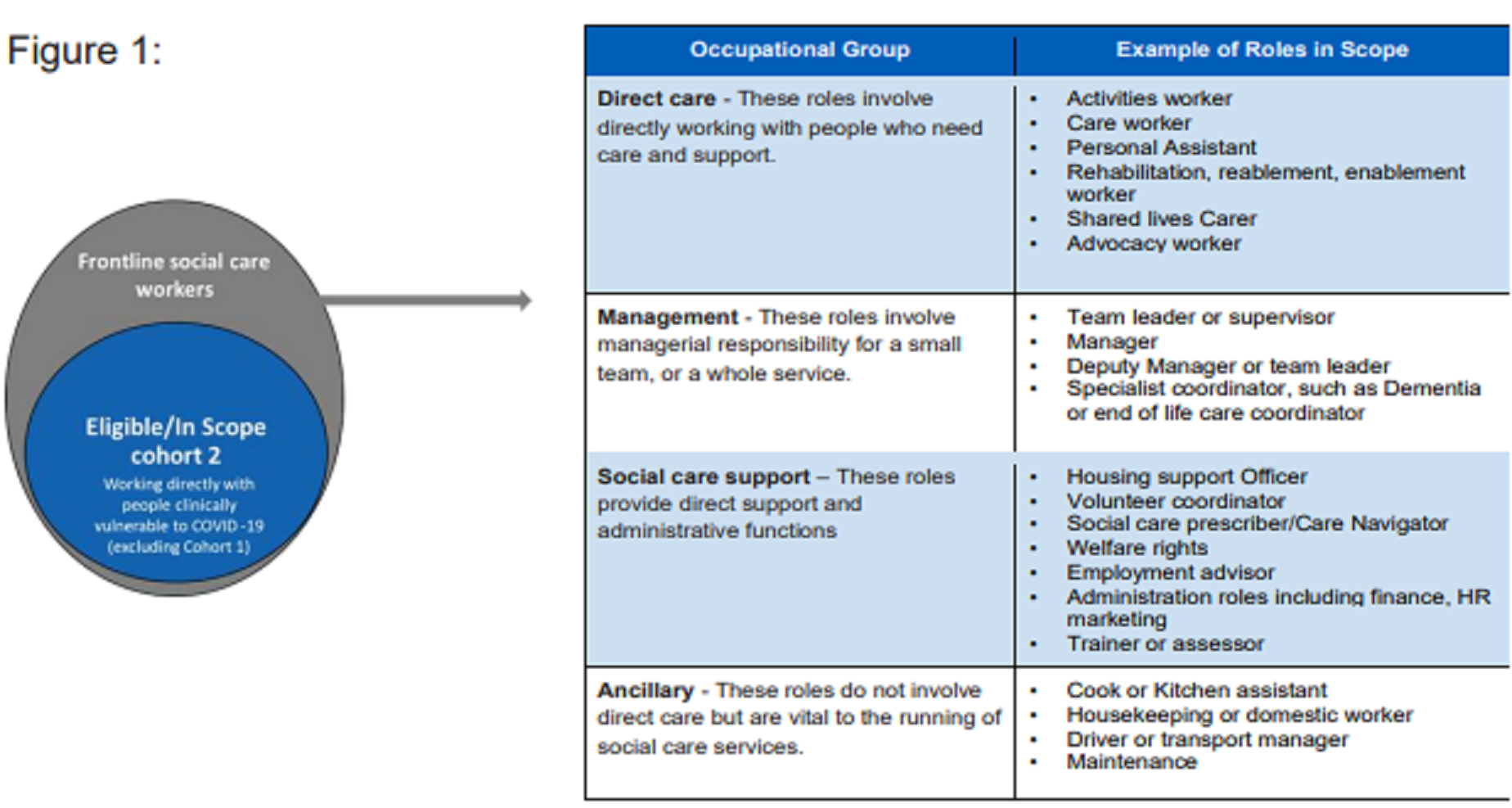 Figure 1 recognises that those in scope will be a subset of frontline social care work roles as defined by Skills for Care, specifically those who are directly working with people clinically vulnerable to COVID-19.