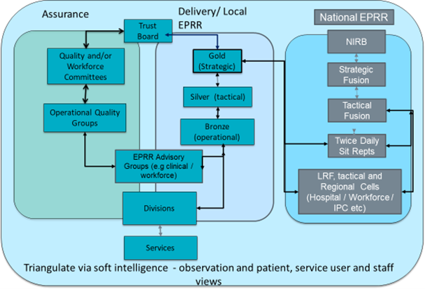 Flowchart showing the safe staffing governance framework