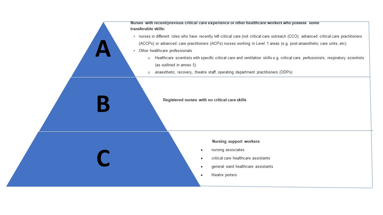 Diagram showing the types of staff available to care for the critically ill