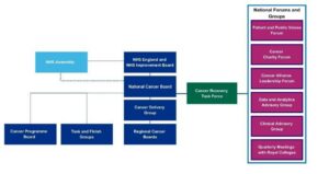 Appendix F - governance