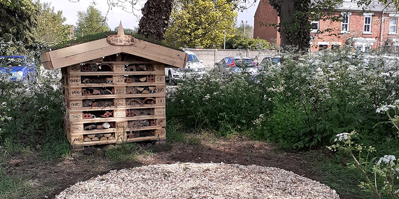 a bug hotel