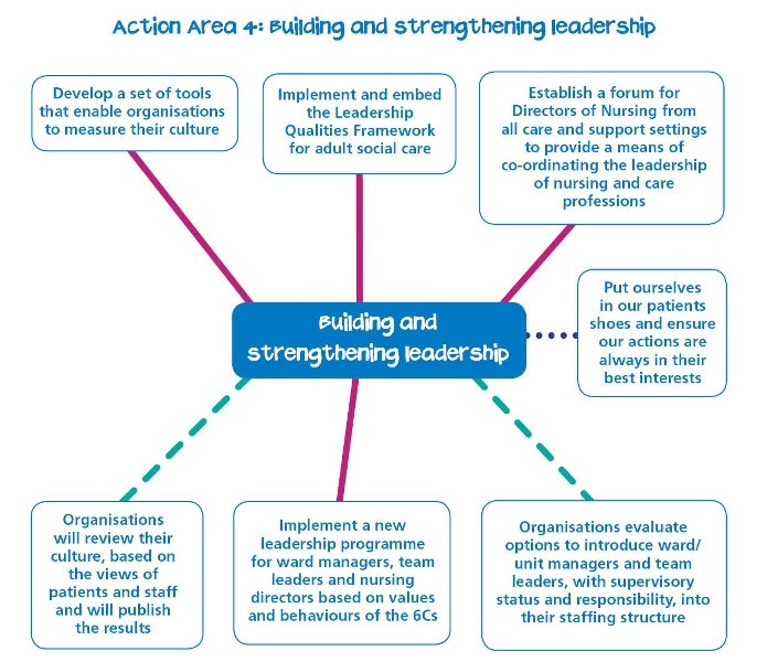 6 c's nursing strategy