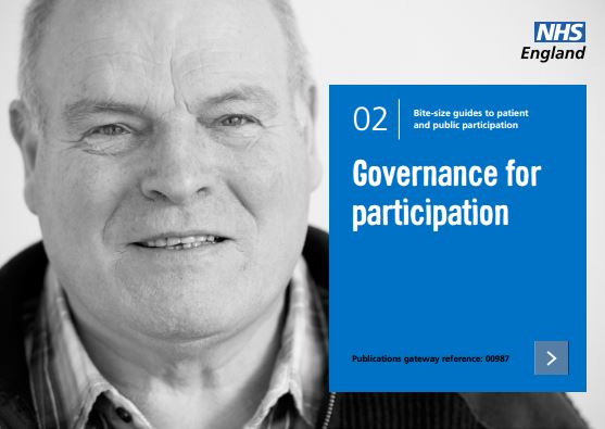 Bite-size guide 2: Governance for participation