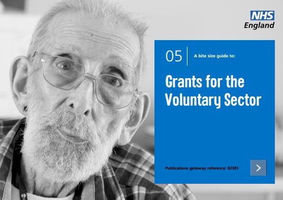 Bite-size guide 5: Grants for the Voluntary Sector