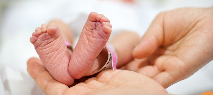 A newborn baby's feet