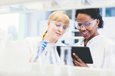 Two scientists working together