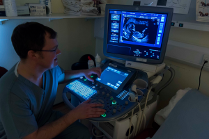 nurse operating pregnancy ultrasound machine