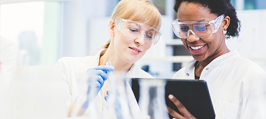 Scientists working together in lab