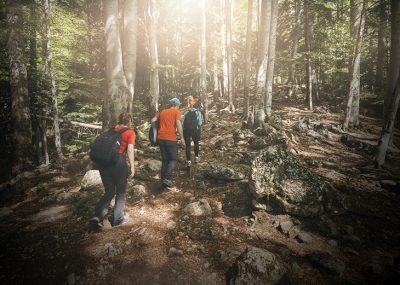 A group of friends walking in a forest