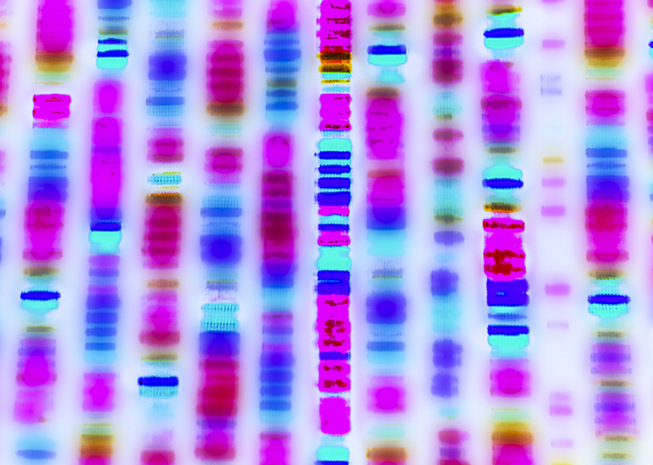 DNA sequence