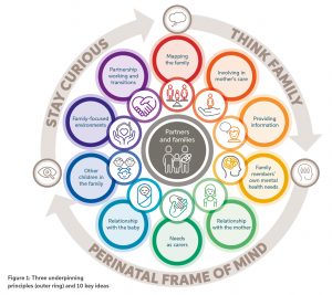 This circular figure outlines the interconnectivity of the three underpinning principles of working with partners and families in the perinatal period which are ‘stay curious’, ‘think family’ and the ‘perinatal state of mind.’ In the inner ring, the 10 key ideas are outlined, they are: mapping the family, involving in mothers care, providing information, family members’ own mental heal needs, relationship with the mother, needs as carers, relationship with the baby, other children in the family, family focused environments and partnership working and transitions. 