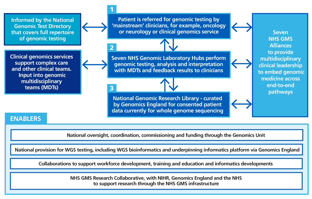 The NHS genomic medicine service infrastructure