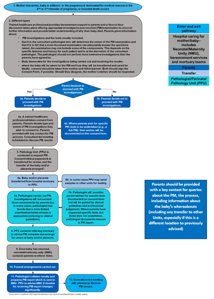 Perinatal post-mortem investigative pathway