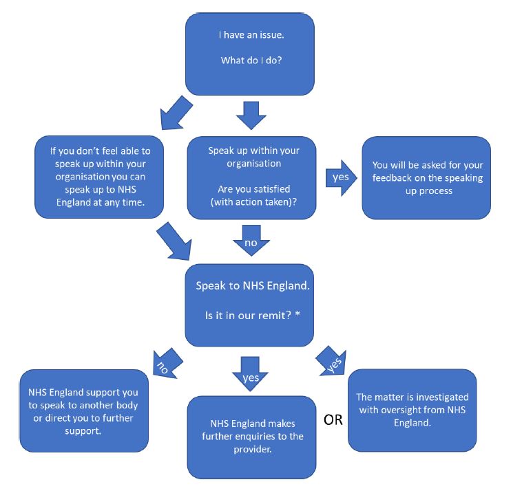 Flow chart showing the speak up process
