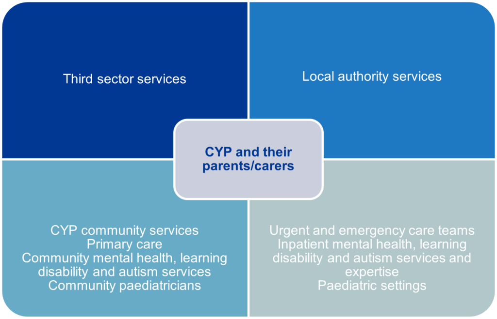 Children and young people and their carers