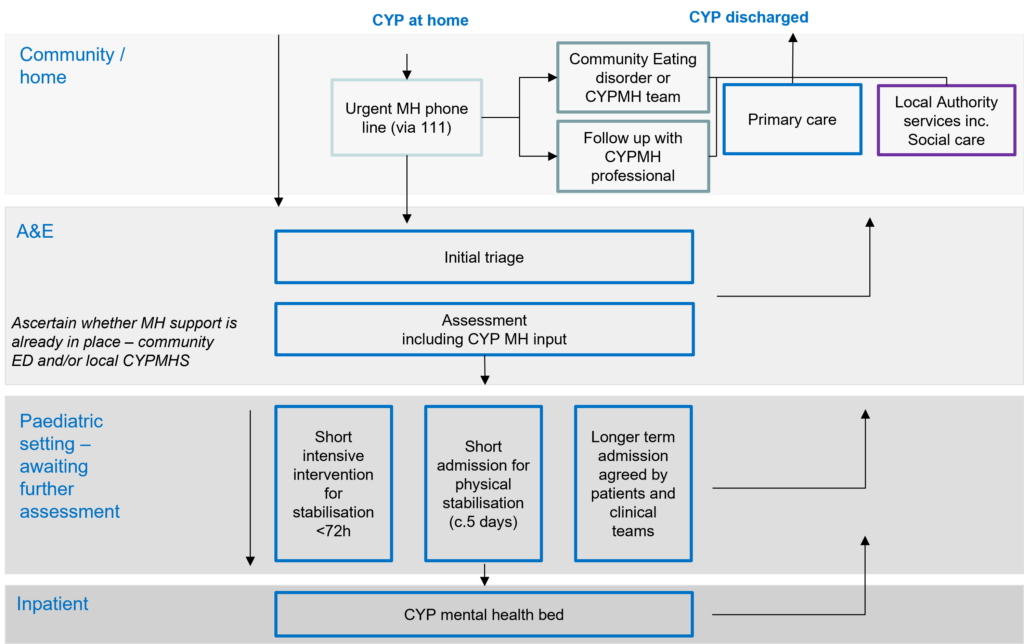 Aspirational pathway for CYP with mental health needs in acute paediatric environments