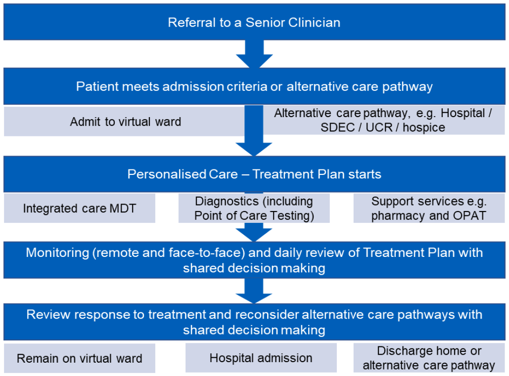 Patient clinical review pathway in a virtual ward