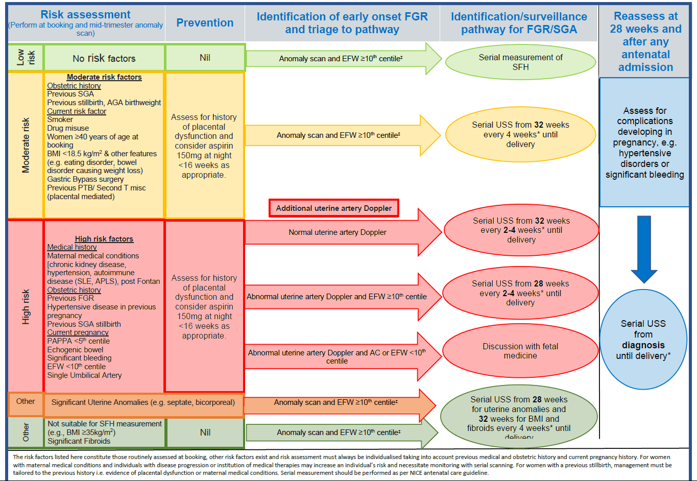 Flowchart outlining a clinical pathway for fetal growth restriction (FGR) and small for gestational age (SGA) management.