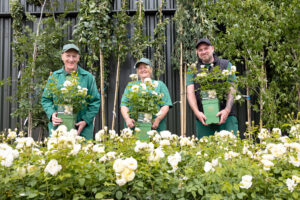 Three members of the Rotherham, Doncaster and South Humber NHS Foundation Trust preparing to plant some trees