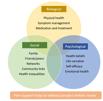 Figure 1 – biopsychosocial model of care