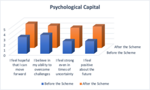 Figure 1 - psychological individual session outcome averages