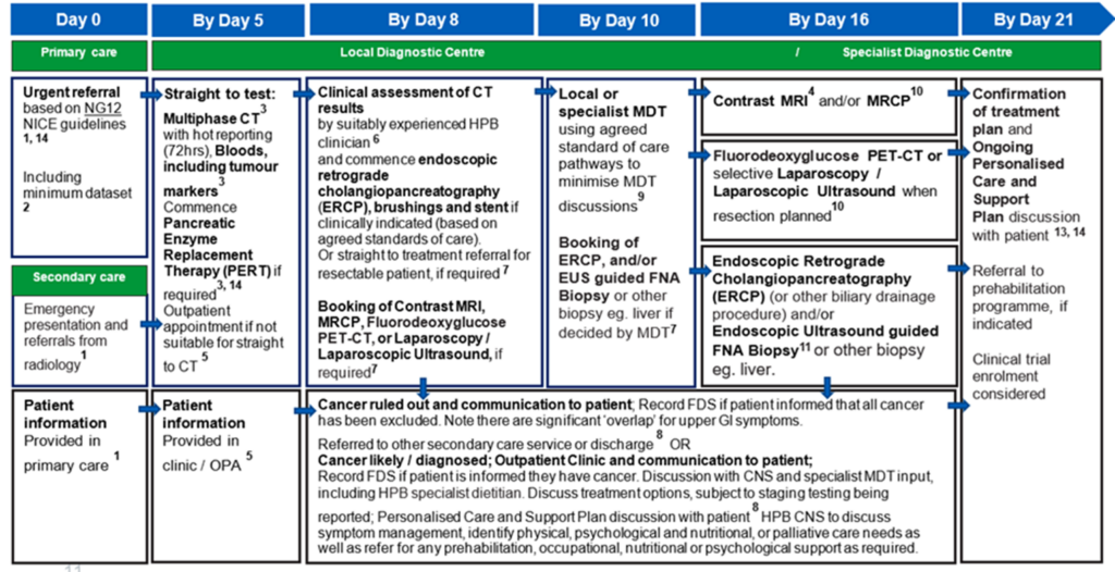 The image is a flowchart titled "Jaundice - pancreatic, extrahepatic cholangio, gall bladder." It is divided into several columns indicating the timeline of patient care from Day 0 to Day 21. Each column has a list of actions or considerations, with arrows pointing to the next step in the process
