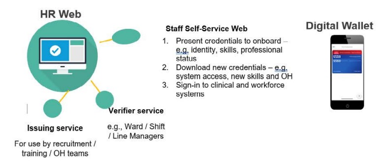 The image shows a computer screen displaying a diagram and text. The diagram is a flowchart with three main components labeled "HR Web," "Staff Self-Service Web," and "Digital Wallet." There are connecting lines with arrows between these components indicating a workflow or process.
The "HR Web" is represented by a computer monitor icon and is connected to an "Issuing service" which is for use by recruitment/training/ OH teams.
The "Staff Self-Service Web" has a list of three steps next to it:
1. Present credentials to onboard - e.g., identity, skills, professional status
2. Download new credentials - e.g., system access, new skills and OH
3. Sign-in to clinical and workforce systems
This component is connected to a "Verifier service" with examples given as "e.g., Ward/Shift/Line Managers."
The "Digital Wallet" is not detailed in the visible part of the image.