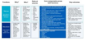 NHS England » Virtual wards operational framework