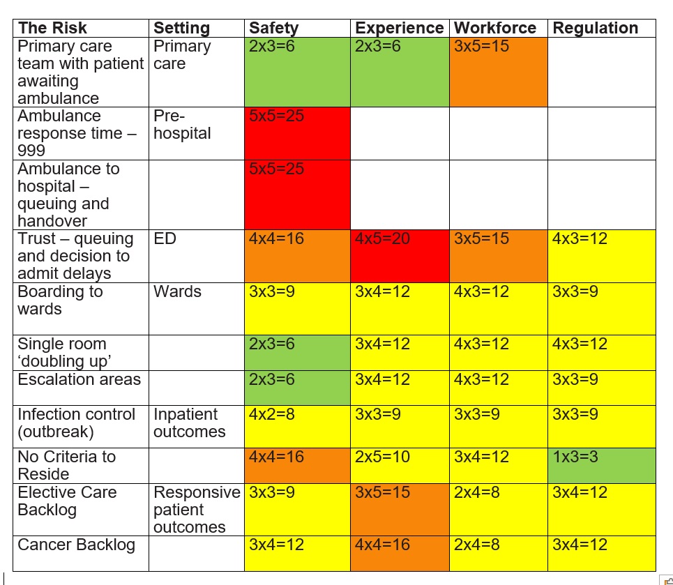 The image is a 5x5 risk assessment matrix that evaluates various risks across different areas including setting, safety, experience, workforce, and regulation. Each risk factor is assigned a numerical risk score ranging from 4 to 20, with color-coding to indicate low, medium, and high risk levels.