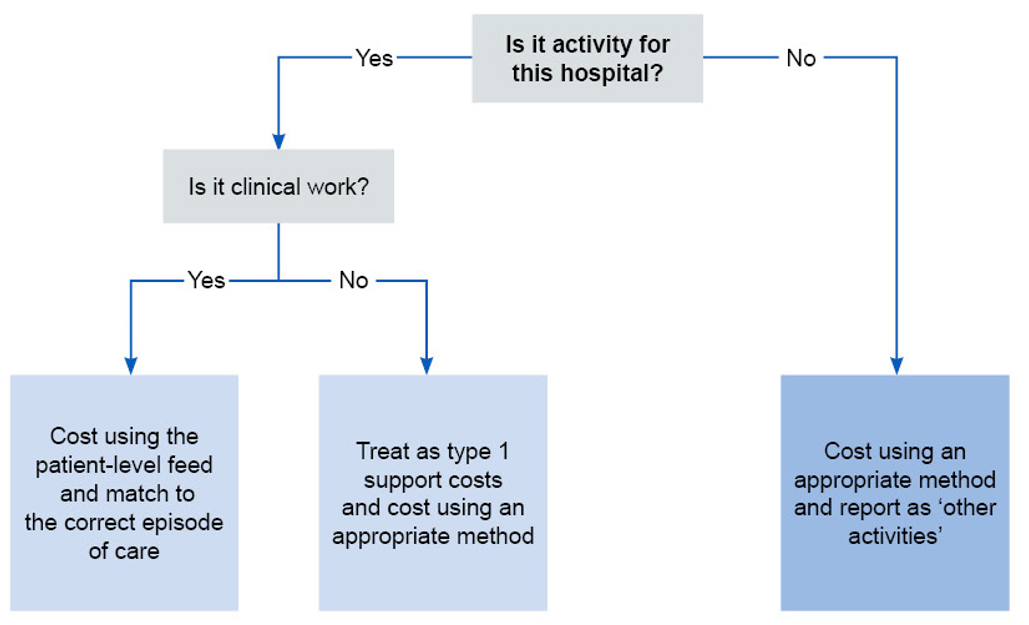Figure outlines services with different service users with activity for hospital split between clinical and non clinical (type 1 support) costs and activity not for hospital to be reported as ‘other activities’.