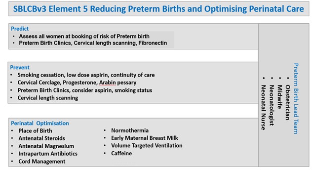 Flow chart showing Element 5: Reducing preterm births and optimising perinatal care