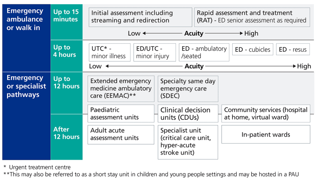 Diagram showing emergency care pathways organised by time