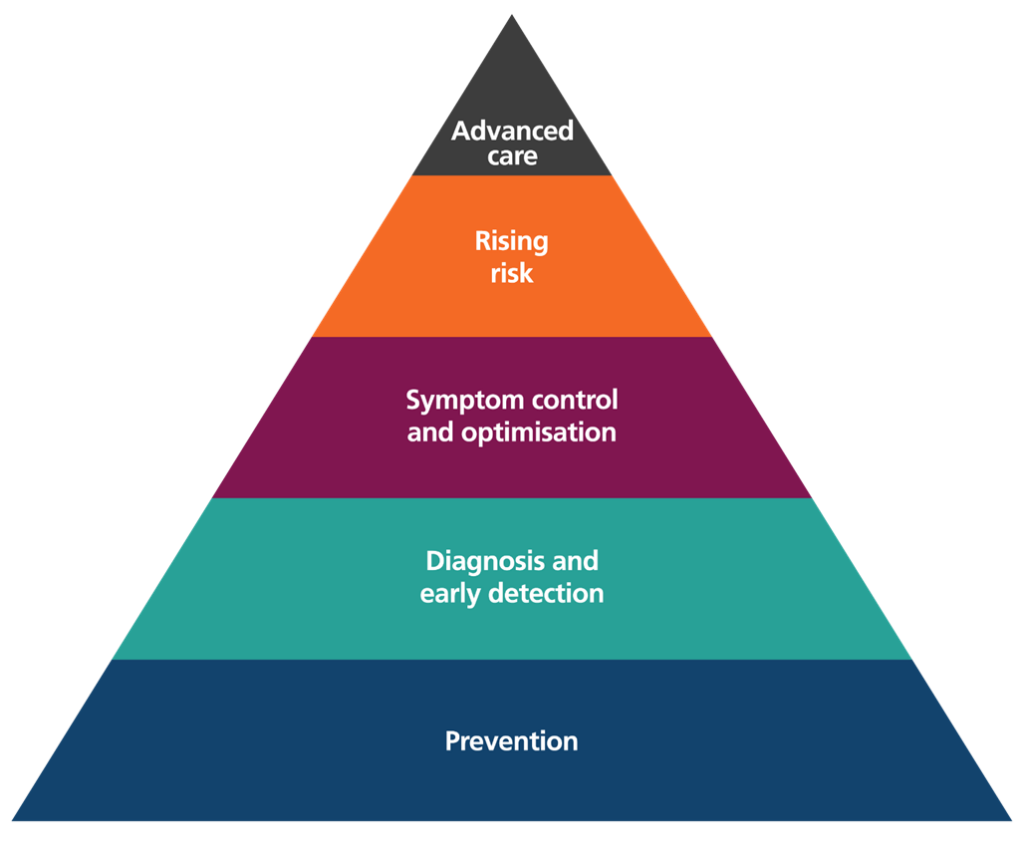 Figure showing 5 levels of COPD interventions: advanced care; rising risk; symptom control and optimisation; diagnosis and early detection; prevention.